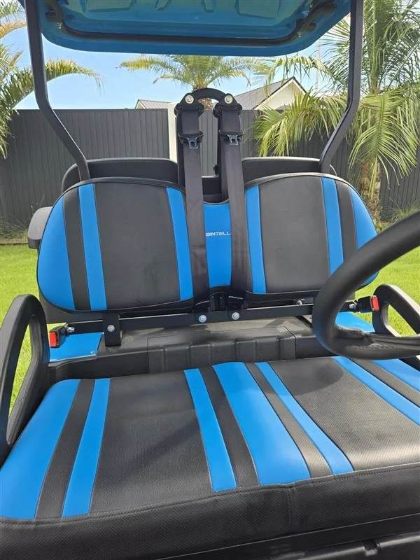 2024 Bintelli Beyond, Ocean Blue, 4 Seat Electric, photo 3