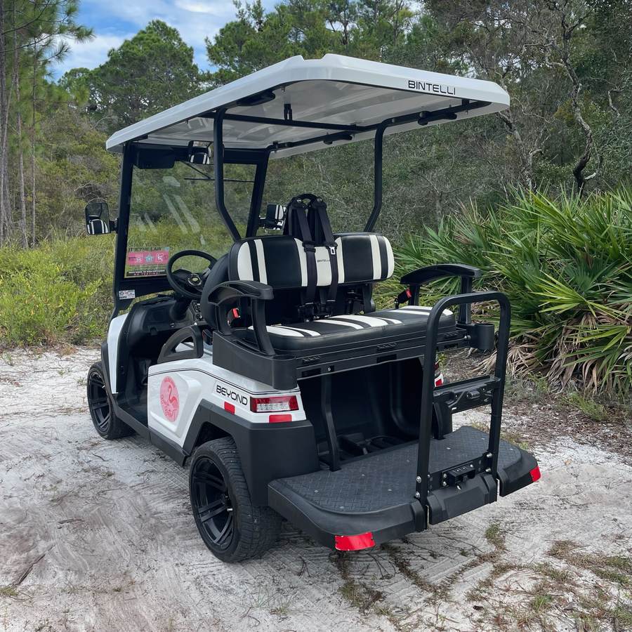 2023 Bintelli Beyond, White, 4 Seat Electric, photo 2