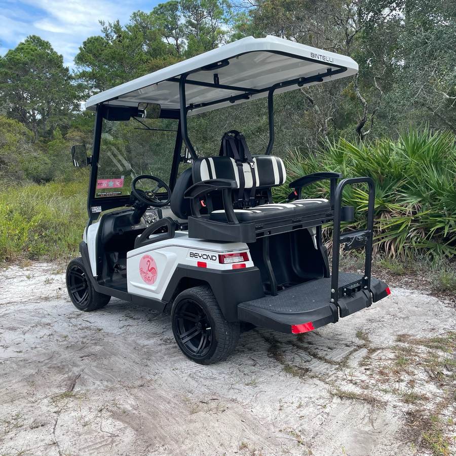 2023 Bintelli Beyond, White, 4 Seat Electric, photo 4