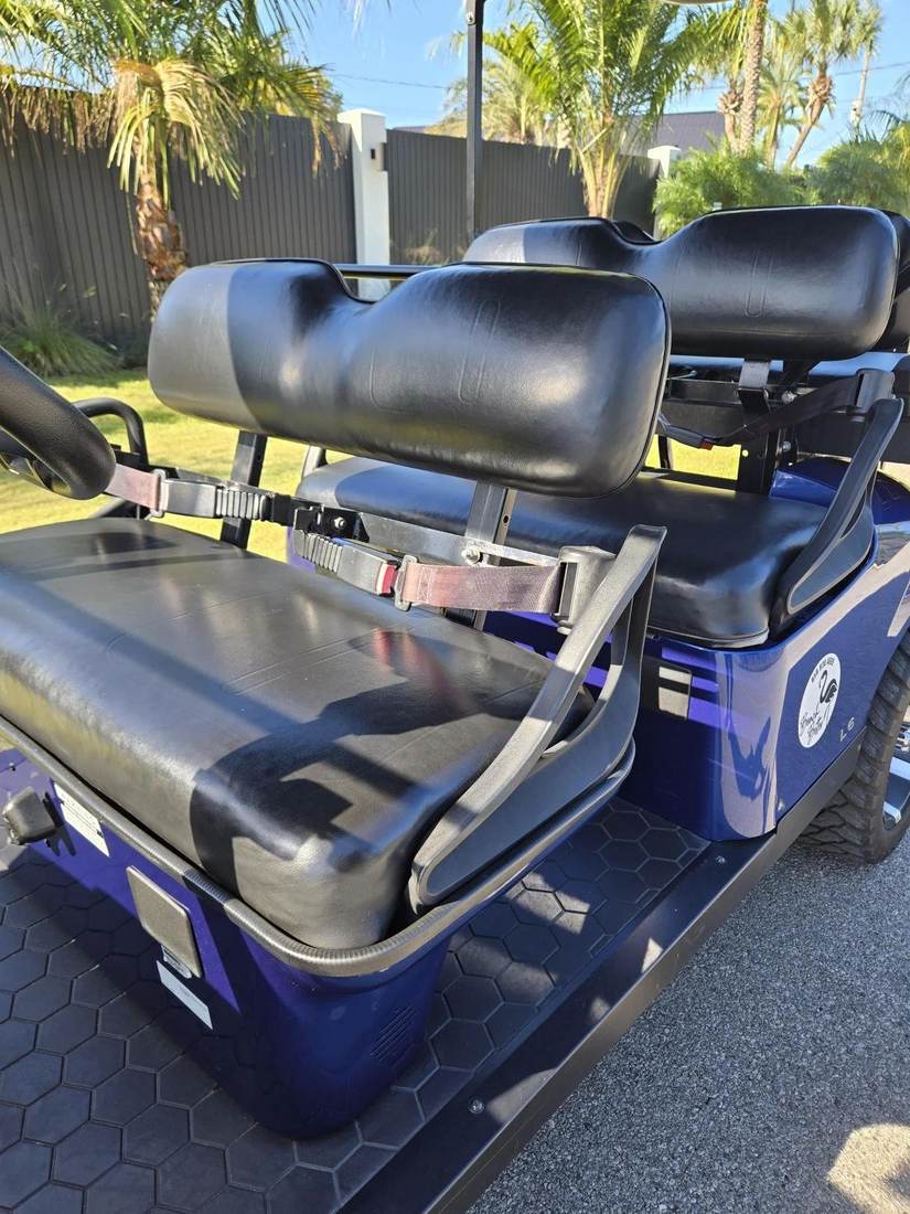 2022 ASPT, Hydro Blue, Lifted 6 Seat Gas, photo 3