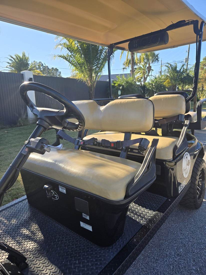 2021 ASPT, Black, Lifted 6 Seat Gas, photo 4