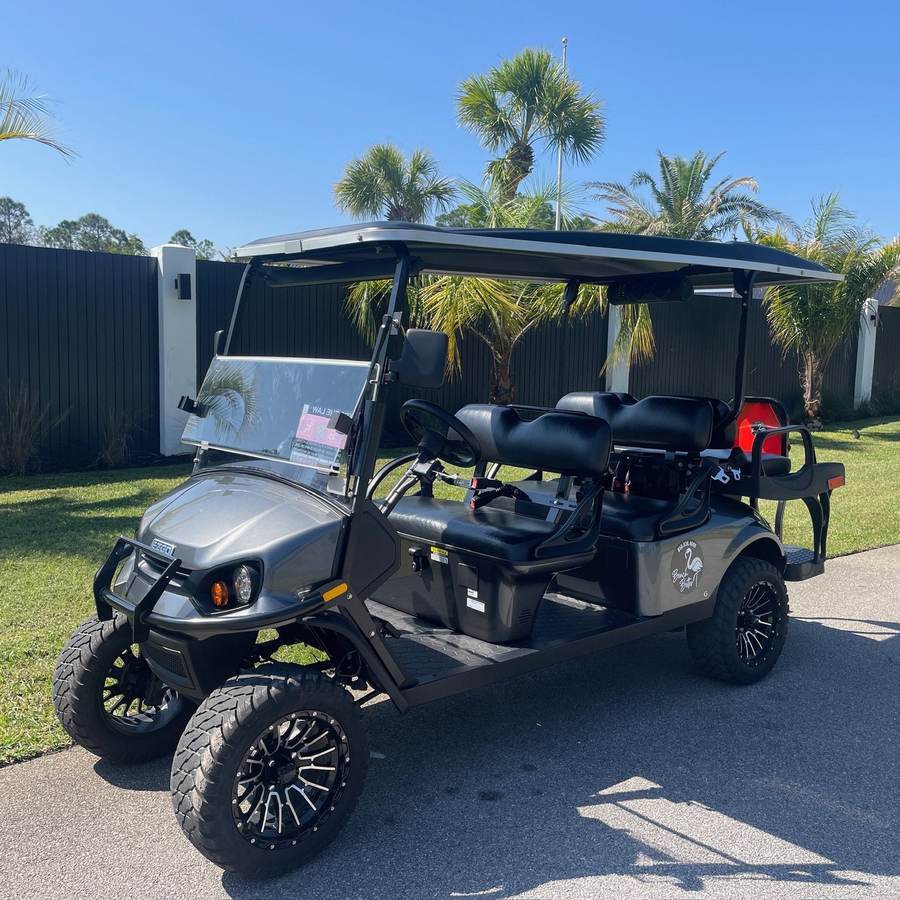 2021 ASPT, Titanium, Lifted 6 Seat Gas, photo 3