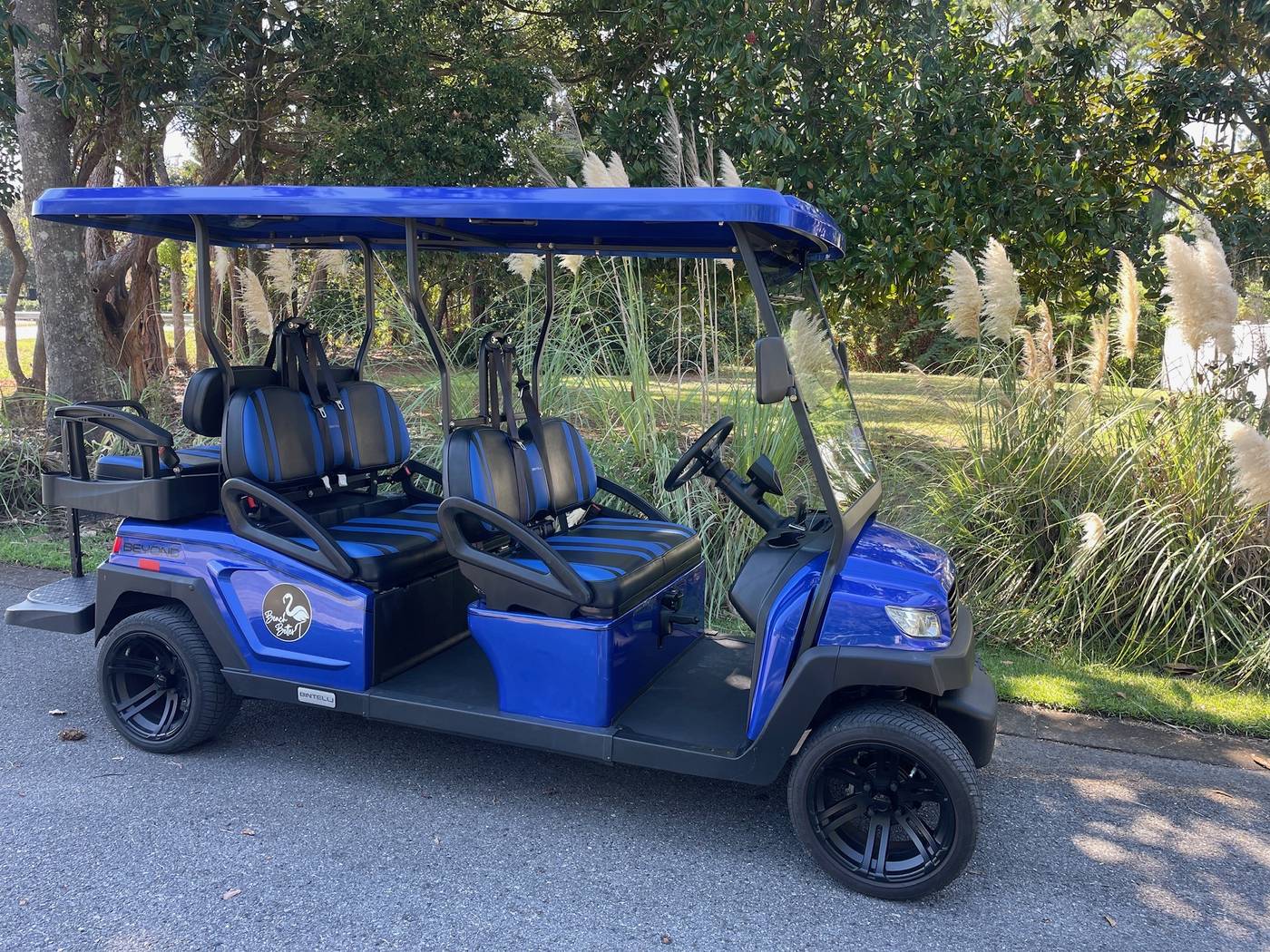 2023 Bintelli Beyond, Hydro Blue, 6 Seat Electric, photo 2
