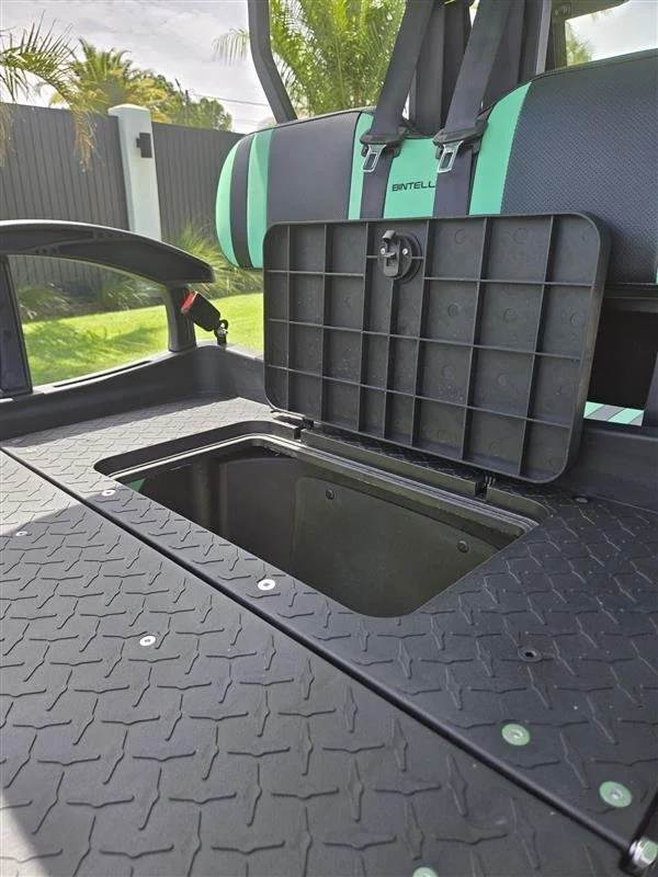2023 Bintelli Beyond, Mint Green, Lifted 4 Seat Electric, photo 4