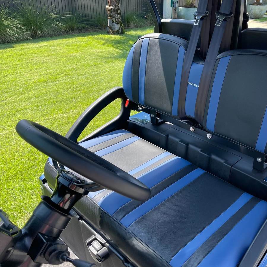 2024 Bintelli Beyond, Navy Blue, Lifted 4 Seat Electric, photo 4