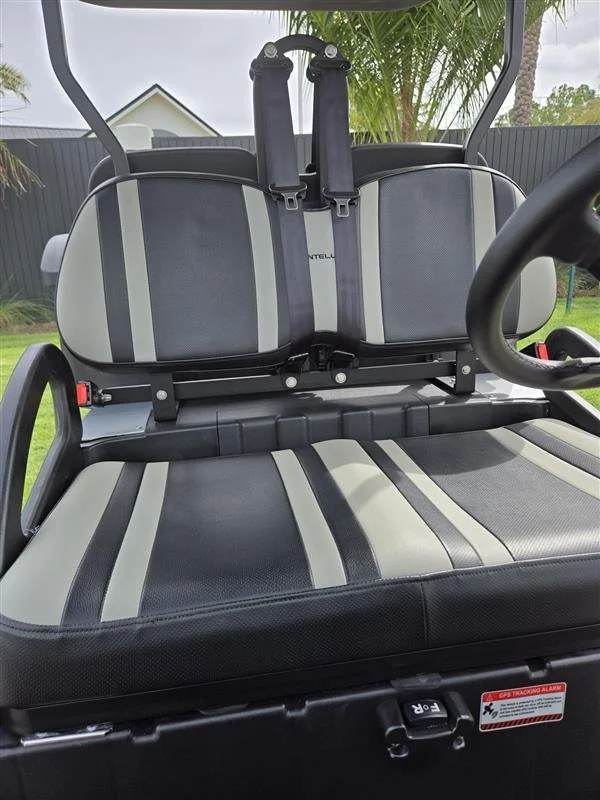 2023 Bintelli Beyond, Titanium, Lifted 4 Seat Electric, photo 4