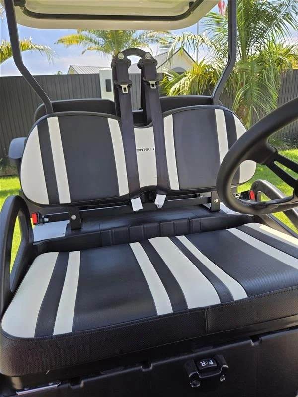 2023 Bintelli Beyond, White, Lifted 4 Seat Electric, photo 3