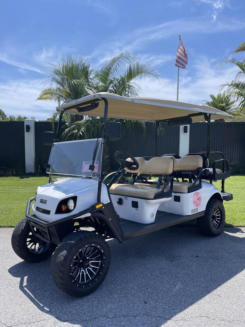 2021 ASPT, White, Lifted 6 Seat Gas, photo 4